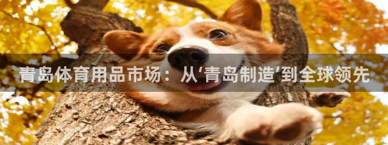 意昂体育凯捷平台注册