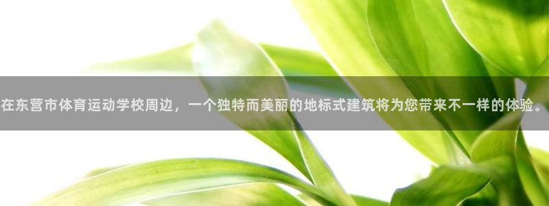 意昂体育游戏