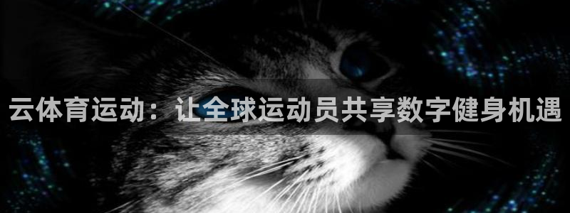 意昂体育注册代理