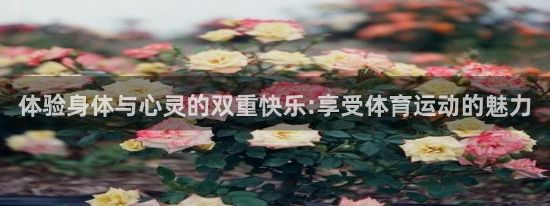 意昂招商