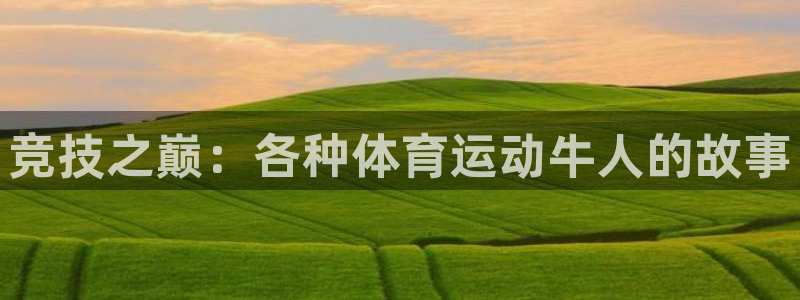意昂体育凯捷代理注册