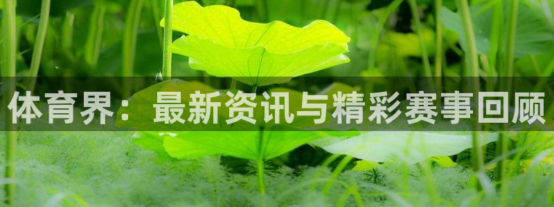 意昂4代理