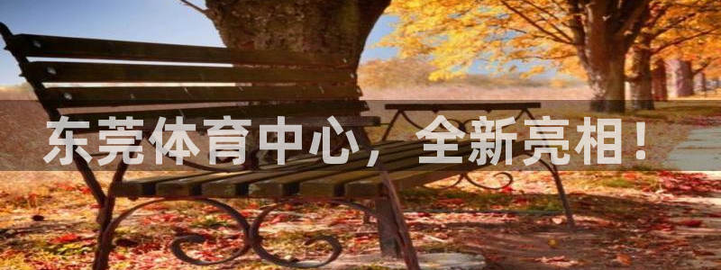 意昂体育凯捷平台注册