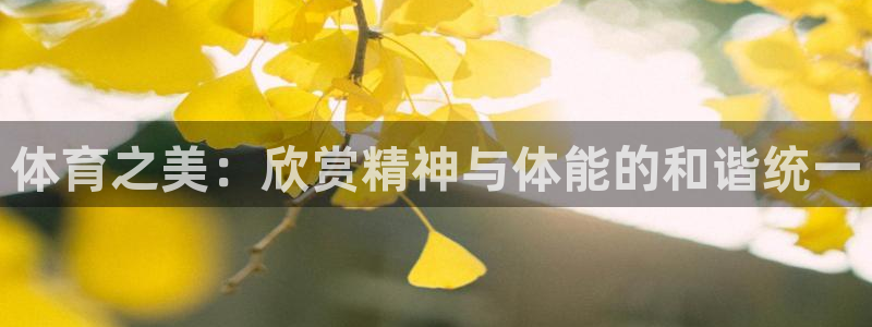 意昂体育代理