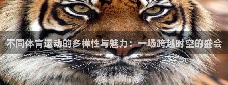 意昂体育注册代理