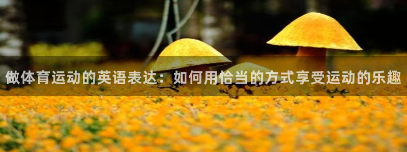 意昂体育平台登录入口
