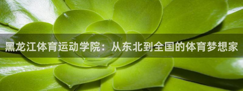 意昂官网