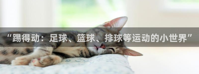意昂凯捷注册