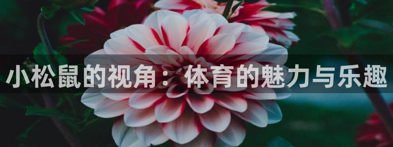 佛山市南海意昂机电仪器有限公司