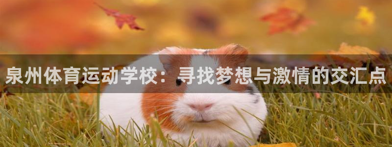 意昂体育app下载