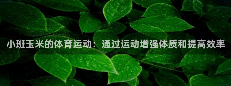 佛山市南海意昂机电仪器有限公司